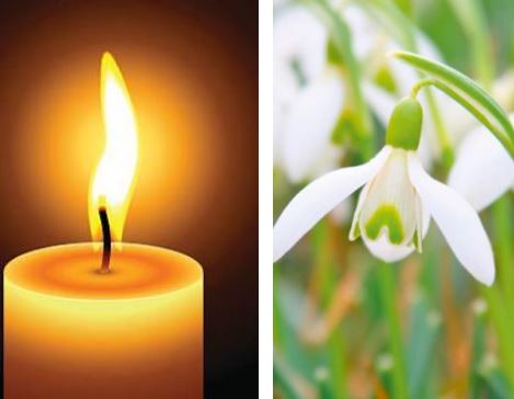 November Remembrance